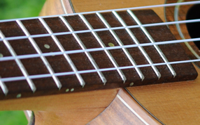 Ukulele Fret Board